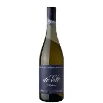 WEINGUT J.HOFSTÄTTER | De Vite 2025 IGT